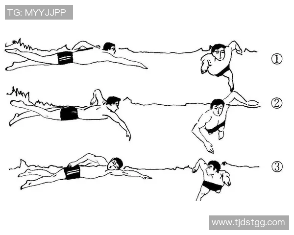 自由泳初学者必读技巧与训练建议帮助你快速提升游泳水平